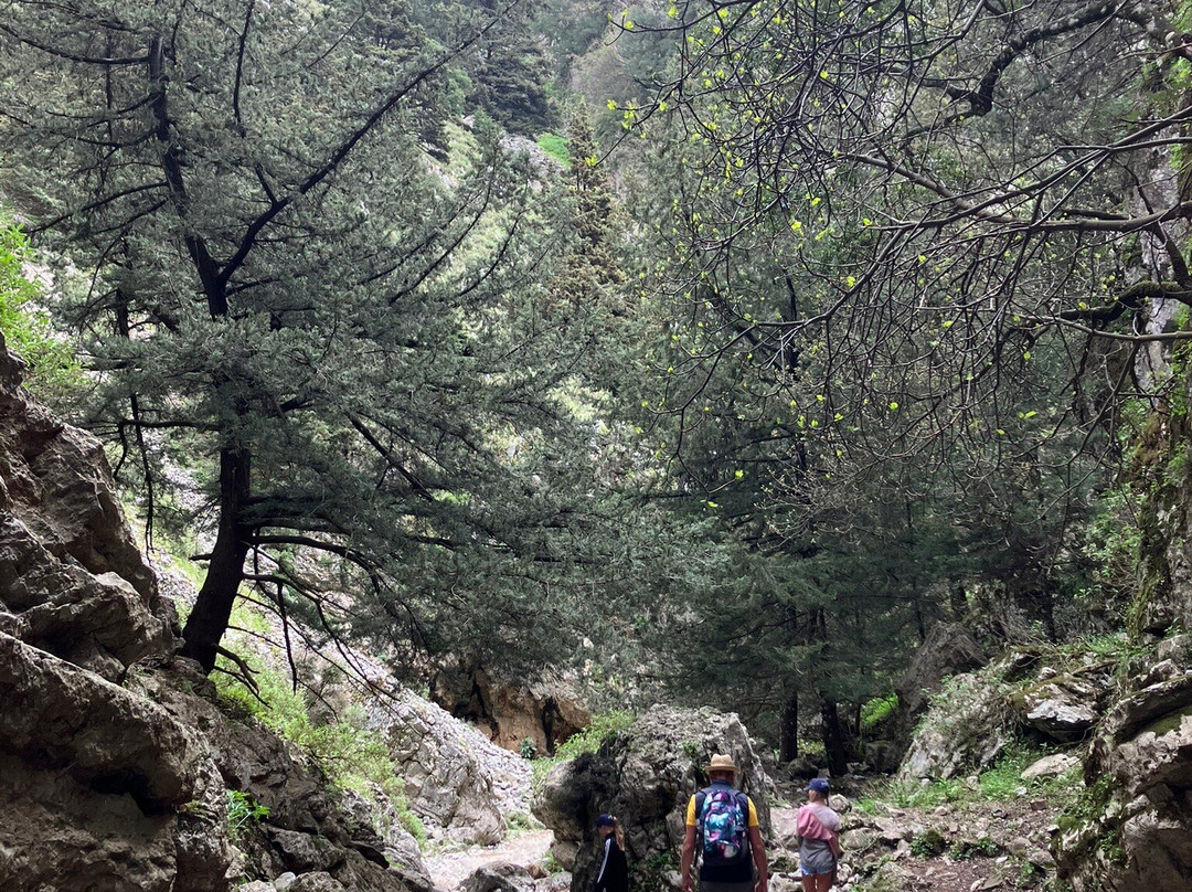 Imbros Gorge-克里特岛必去景点
