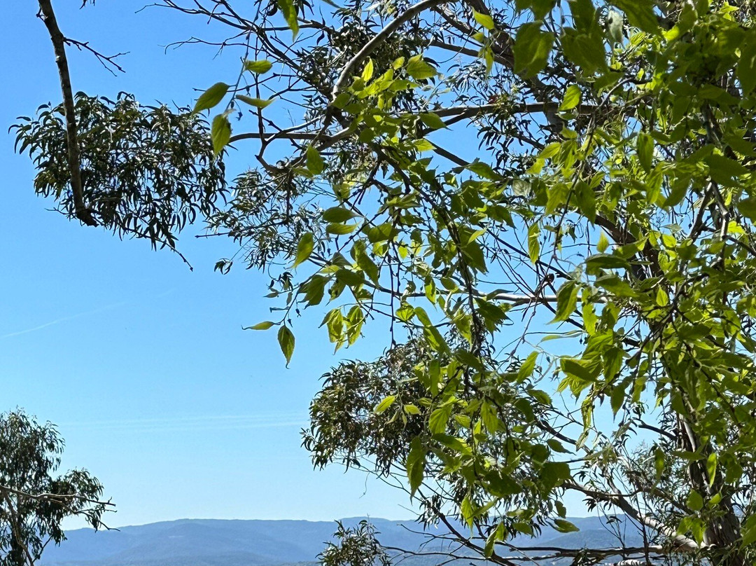Citadelle de Saint-Tropez - Musée d'histoire maritime-圣特罗佩斯必去景点