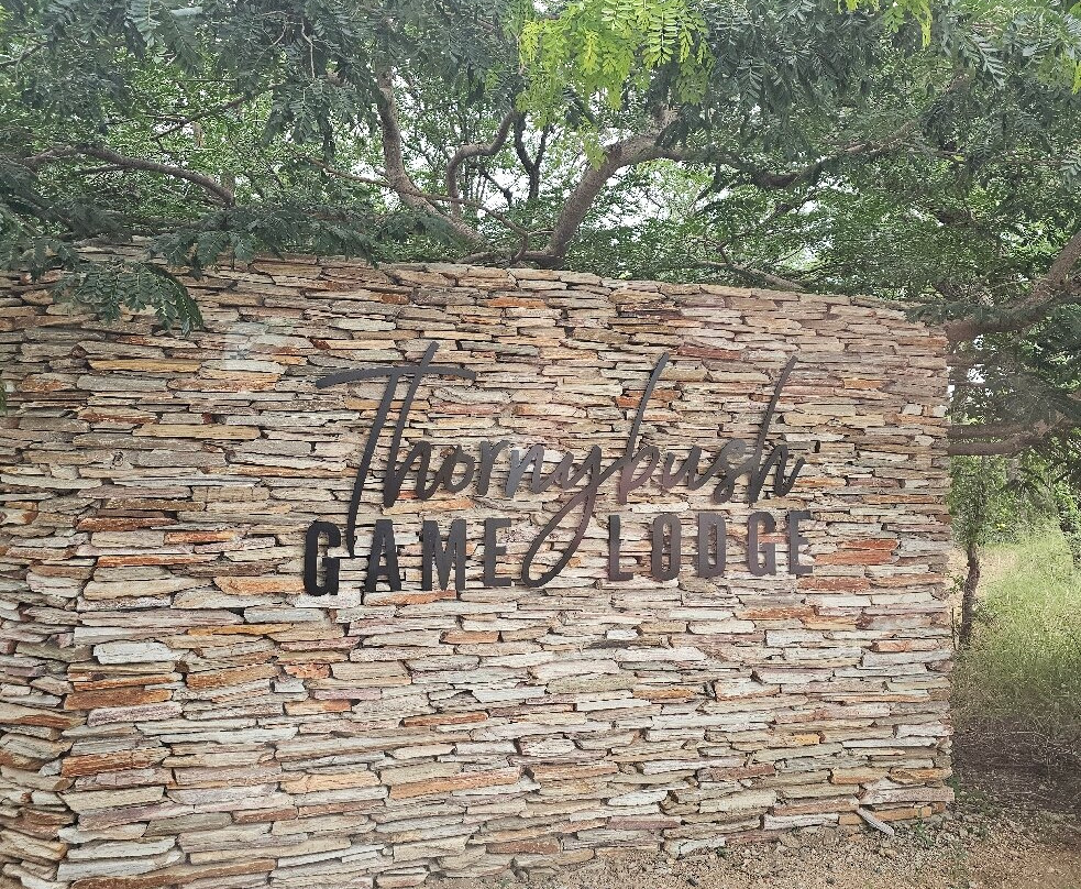 荆棘丛游戏山林小屋主图