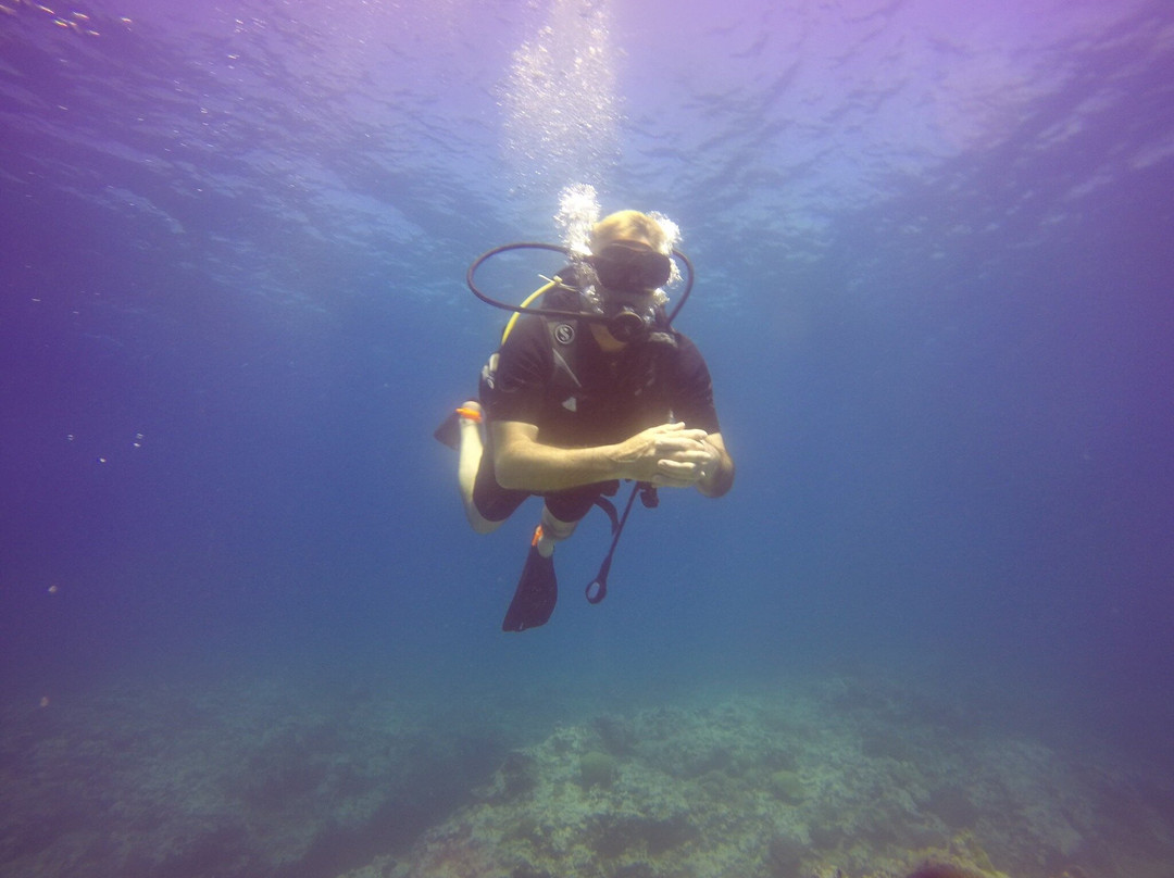 Dive Passion Mauritius-卓得多斯必去景点