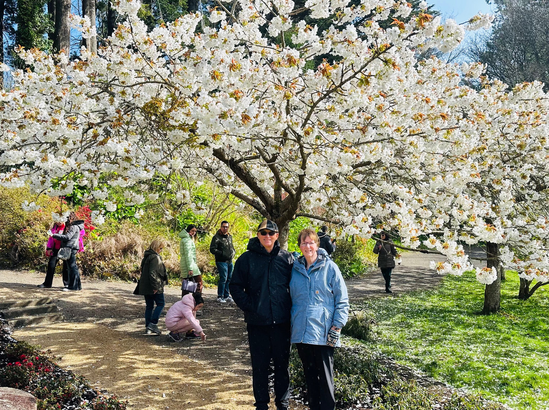 Executive Tours Ireland-利默里克必去景点