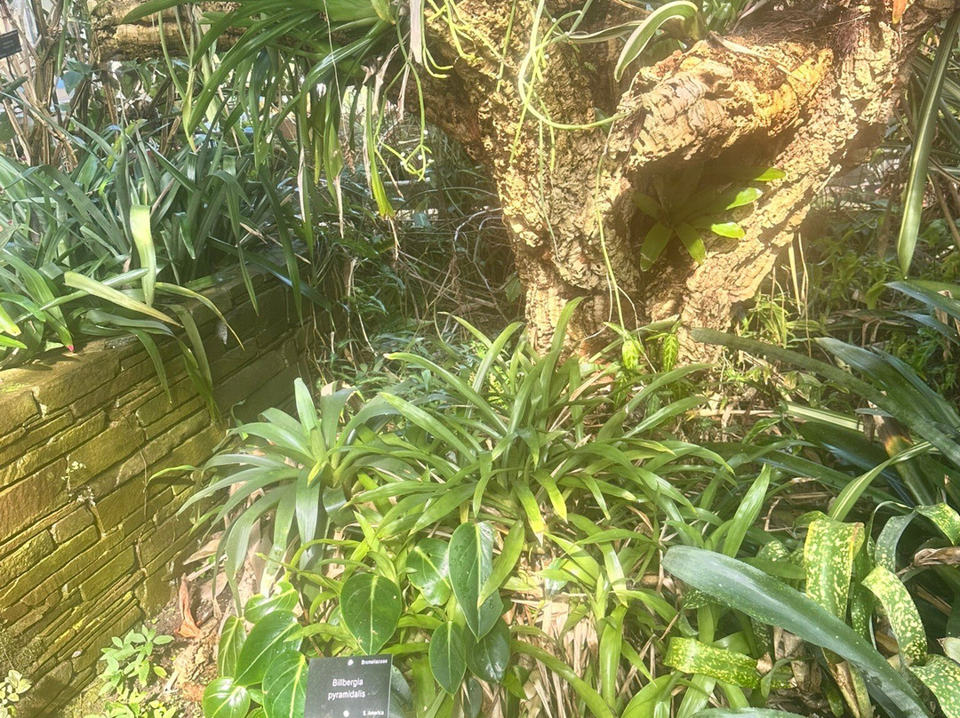 Dundee Botanic Garden-敦提必去景点