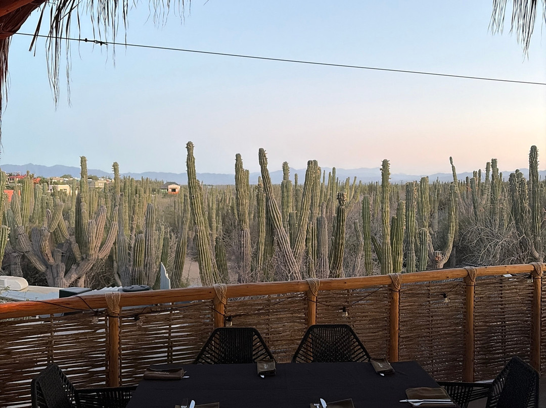 Marzalao Wild Gastrobar