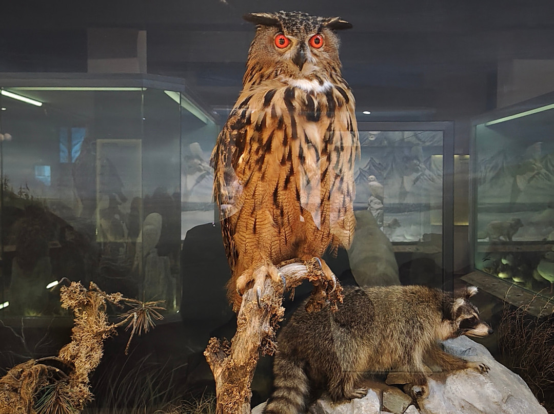Natural History Museum of Meteora & Mushroom Museum-卡兰巴卡必去景点