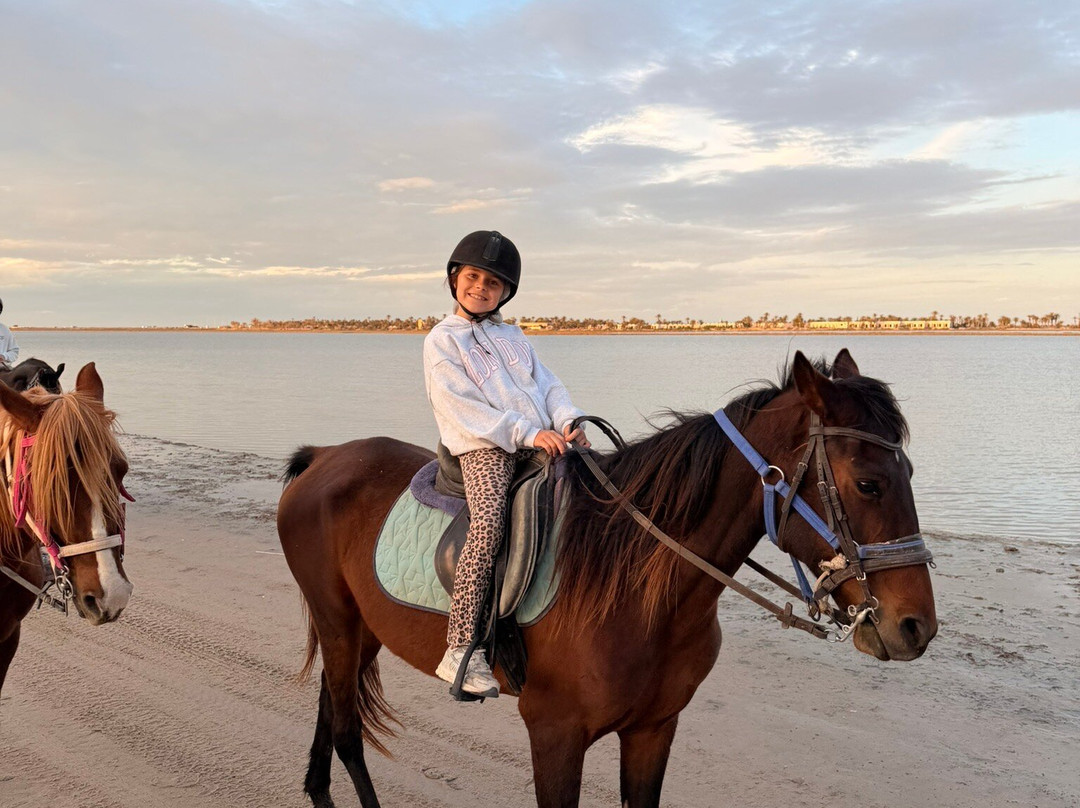 Ranch Yassmina Djerba La Douce-米栋必去景点