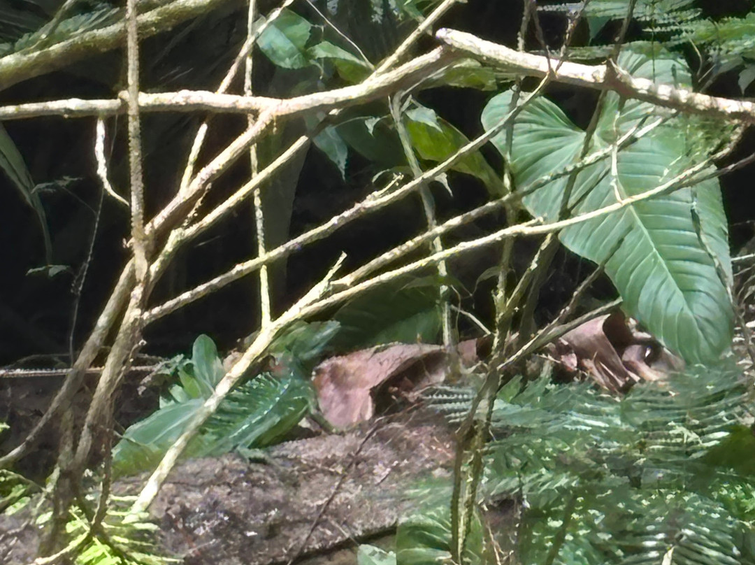拉古纳小屋全膳主图