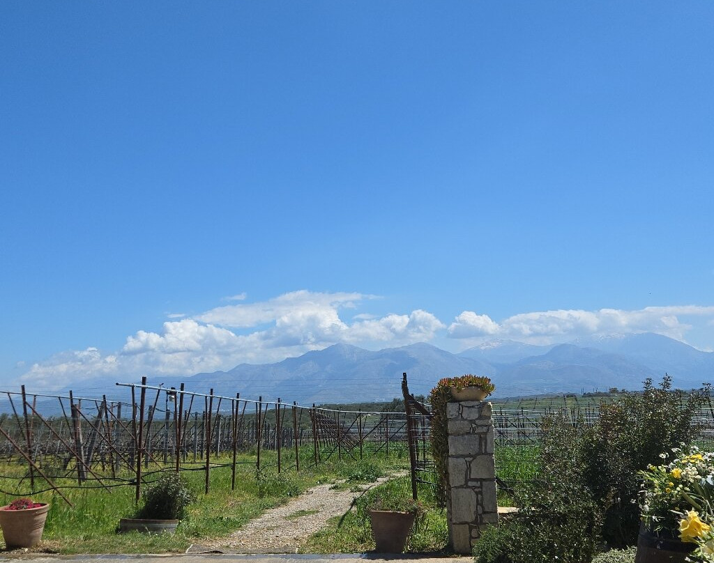 Lyrarakis Winery-伊拉克利翁必去景点