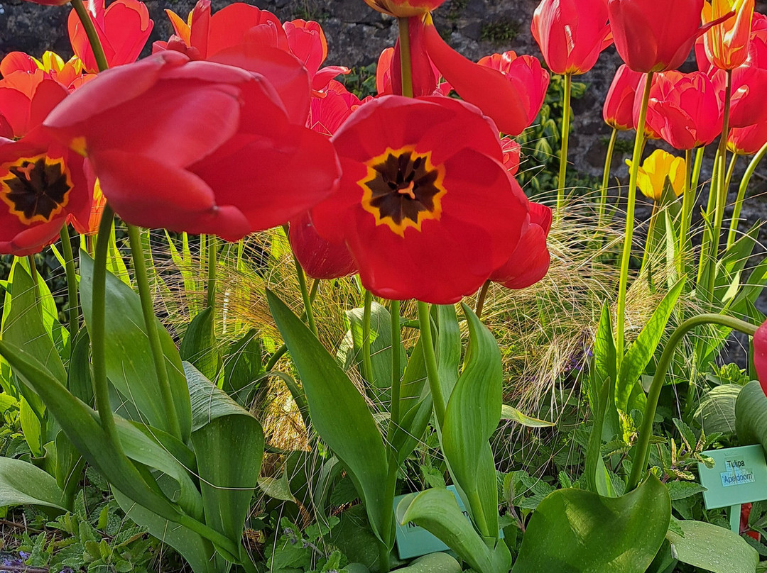 Dunvegan Castle & Gardens-Dunvegan必去景点