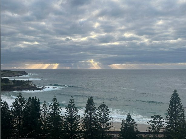 悉尼Coogee海滩洲际酒店-旅行者