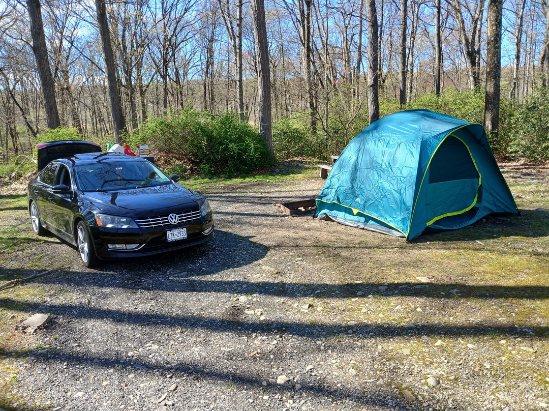 Beaver Pond Campground