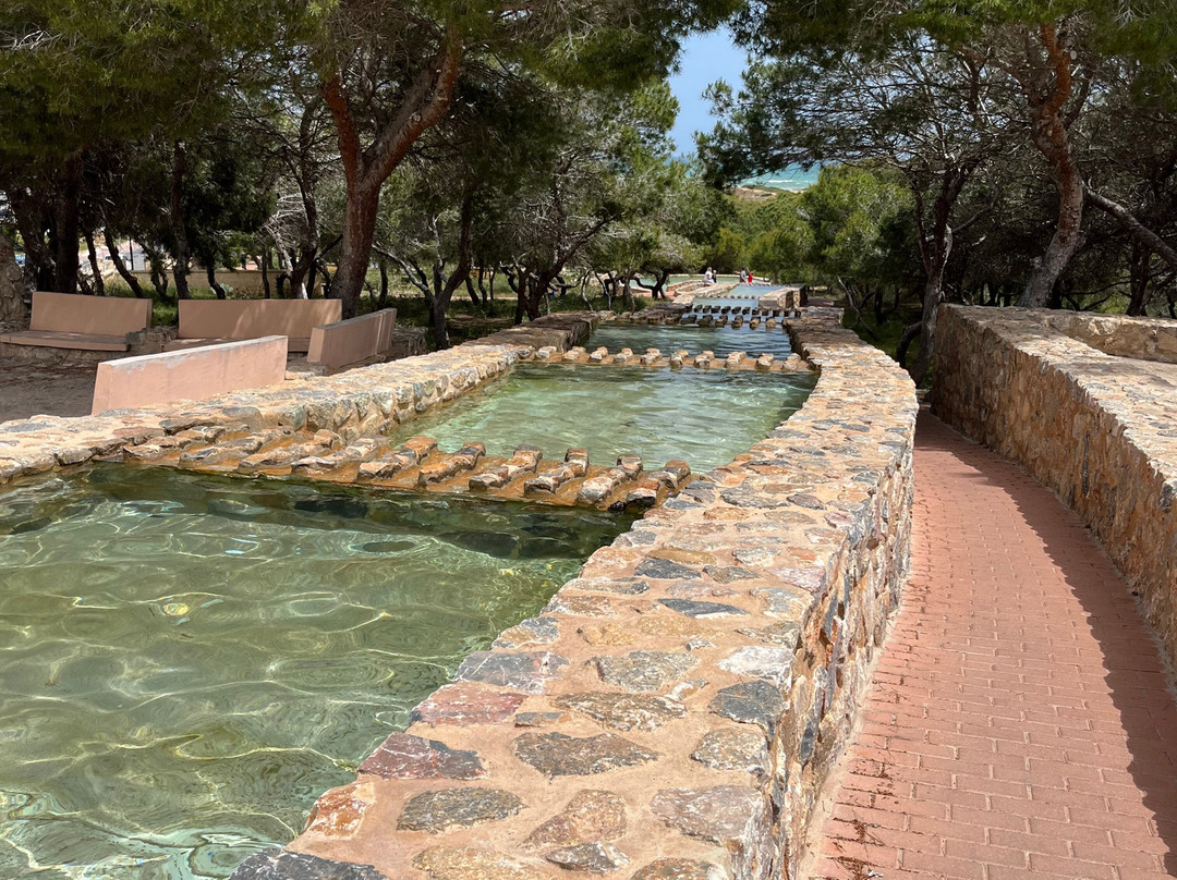 Parque del Molino de Agua-托雷维耶哈必去景点