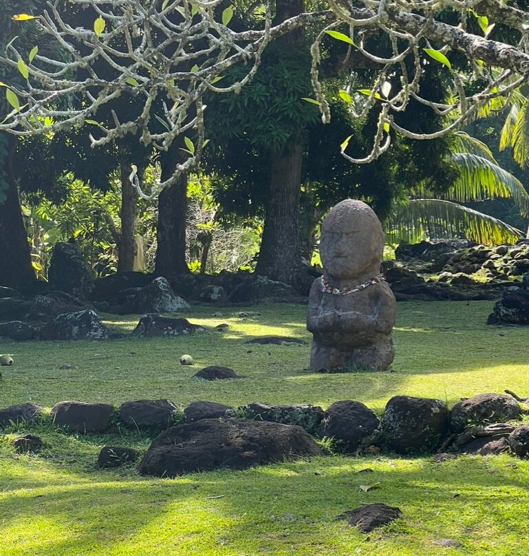 Unique Tahiti-帕皮提必去景点
