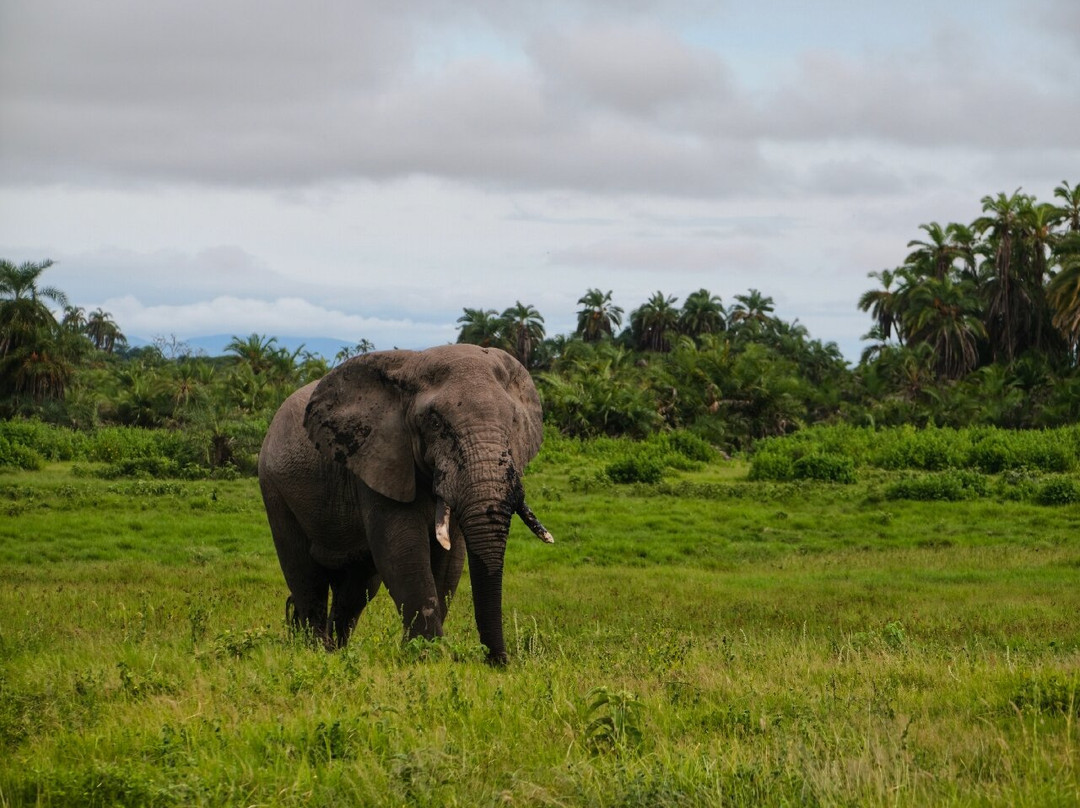 Tazama Africa Holidays-内罗毕必去景点