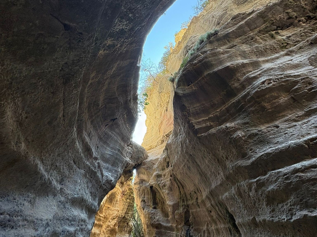 Avakas Gorge-帕福斯必去景点