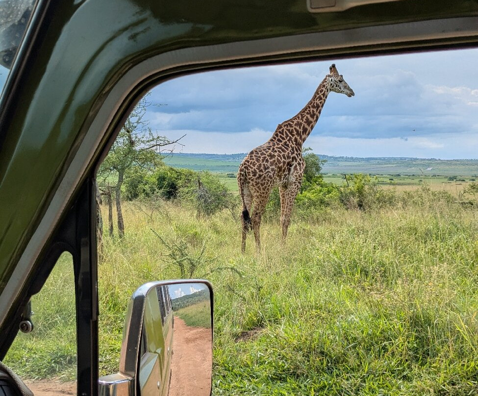 Akagera National Park-Eastern Province必去景点