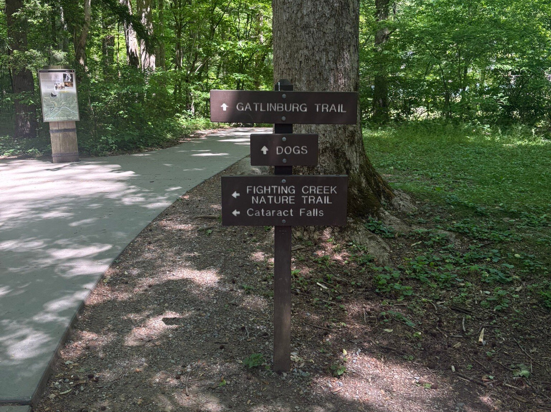 Cataract Falls-大雾山国家公园必去景点
