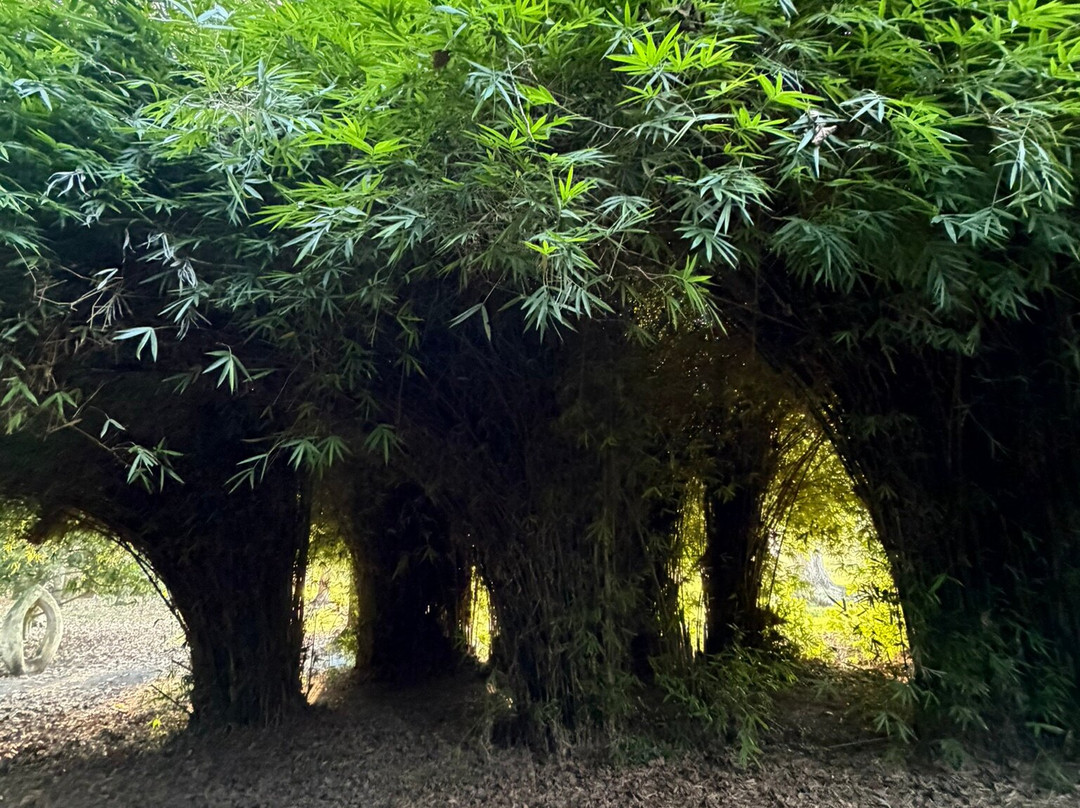 Taitua Arboretum-汉密尔顿必去景点