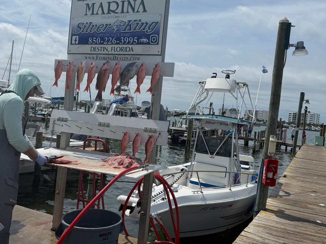 Silver King Charters of Destin-Sandestin必去景点