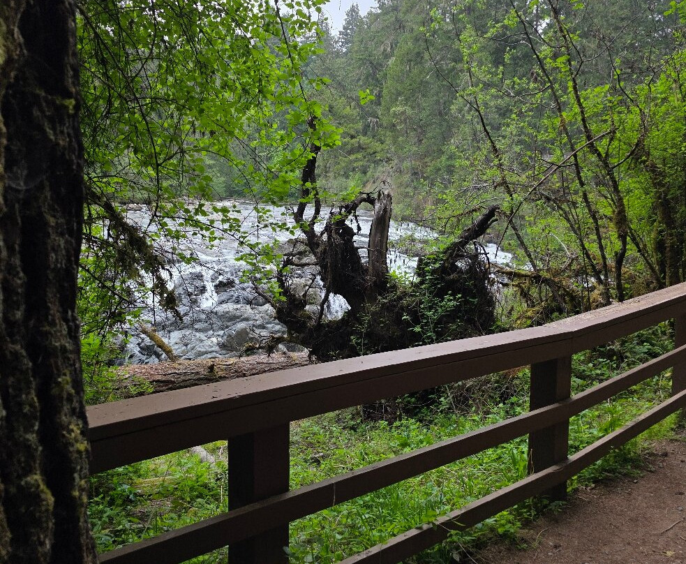 Englishman River Falls Provincial Park-Errington必去景点