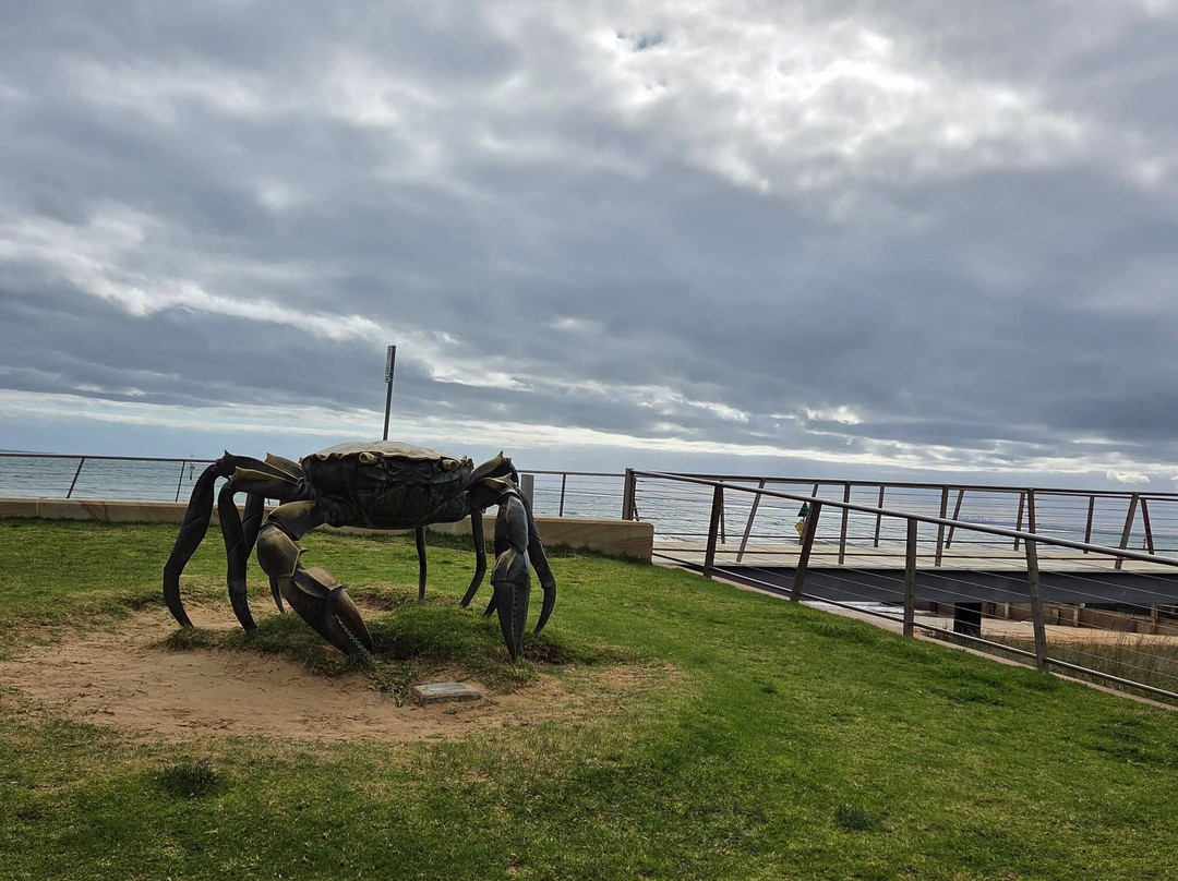 Frankston Beach-弗兰克斯顿必去景点