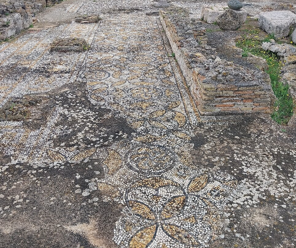 Area Archeologica di Nora-普拉必去景点