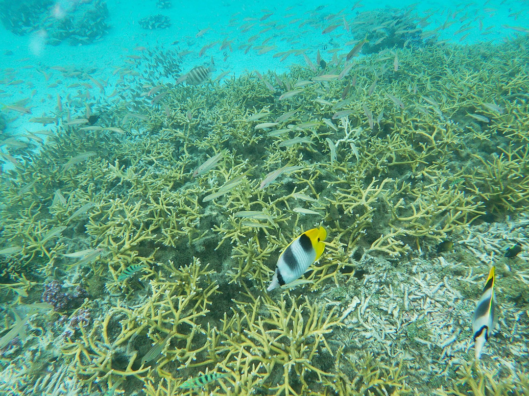 Huahine Dream Tours-Huahine必去景点