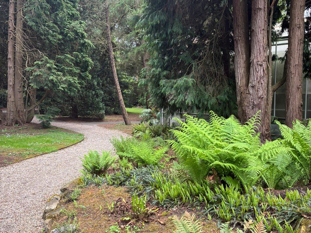 Pinetum Blijdenstein-Hilversum必去景点
