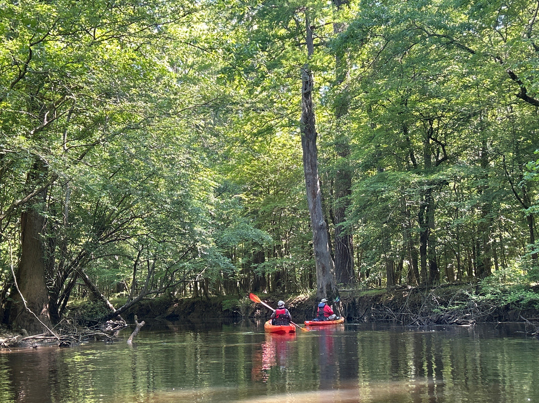 Carolina Outdoor Adventures-厄莫必去景点