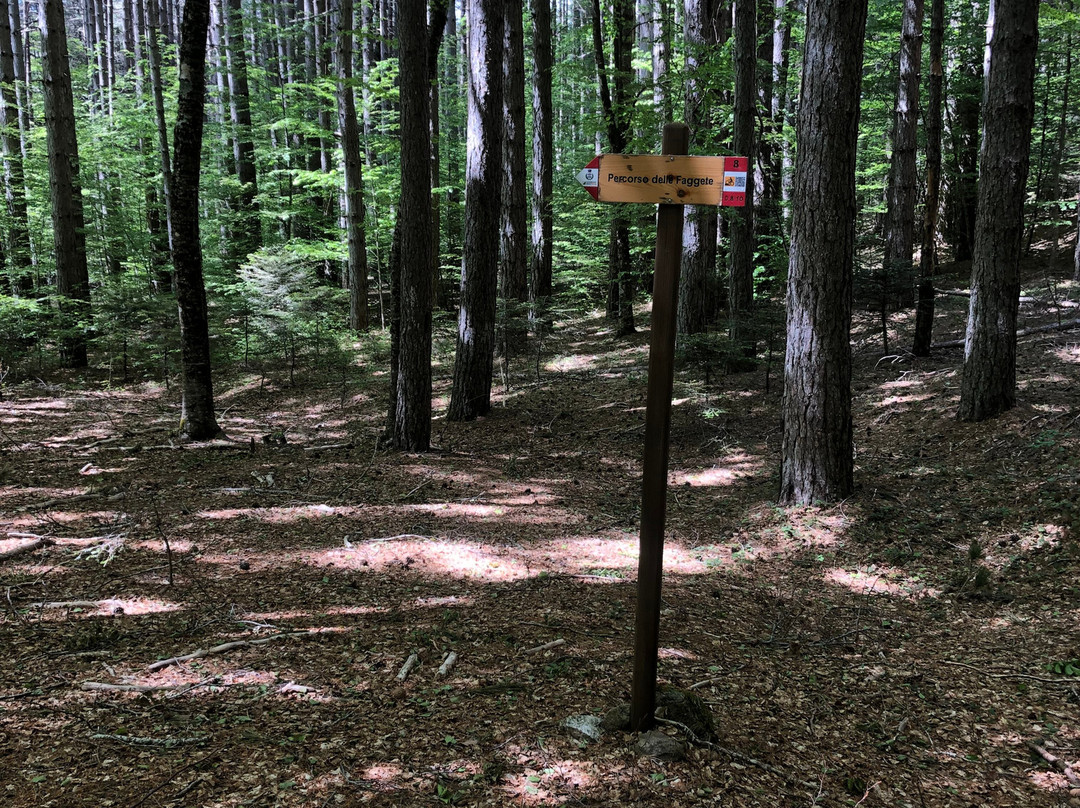 Parco Nazionale dell'Aspromonte-Santo Stefano in Aspromon必去景点