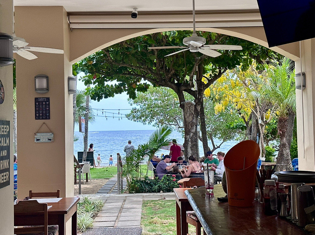 Hotel la Gaviota Tropical主图