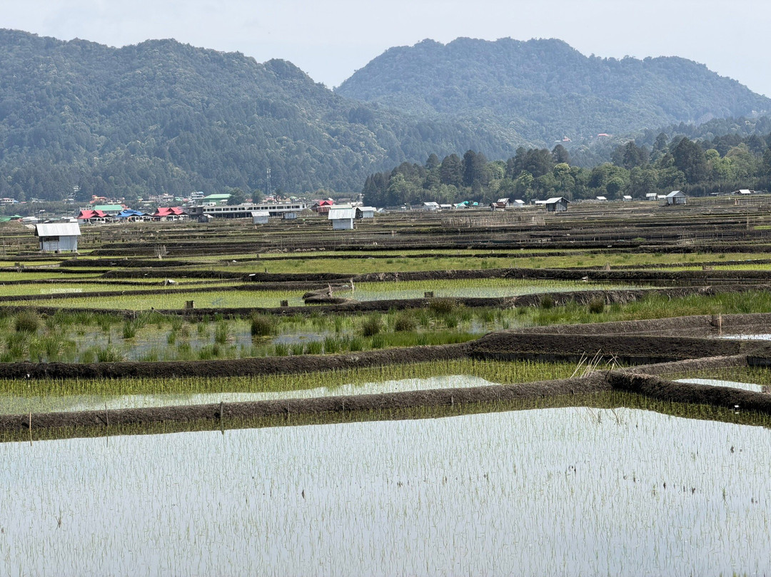 Desh Videsh Trip-Tinsukia必去景点
