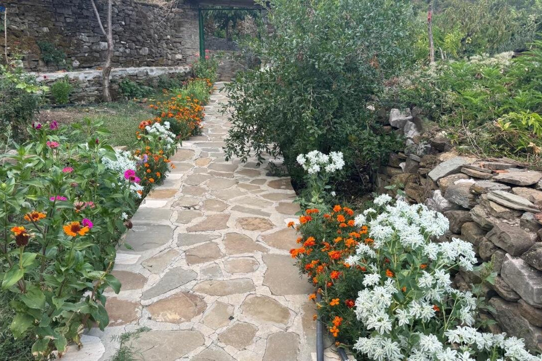 GUEST HOUSE FELAU,Leuse