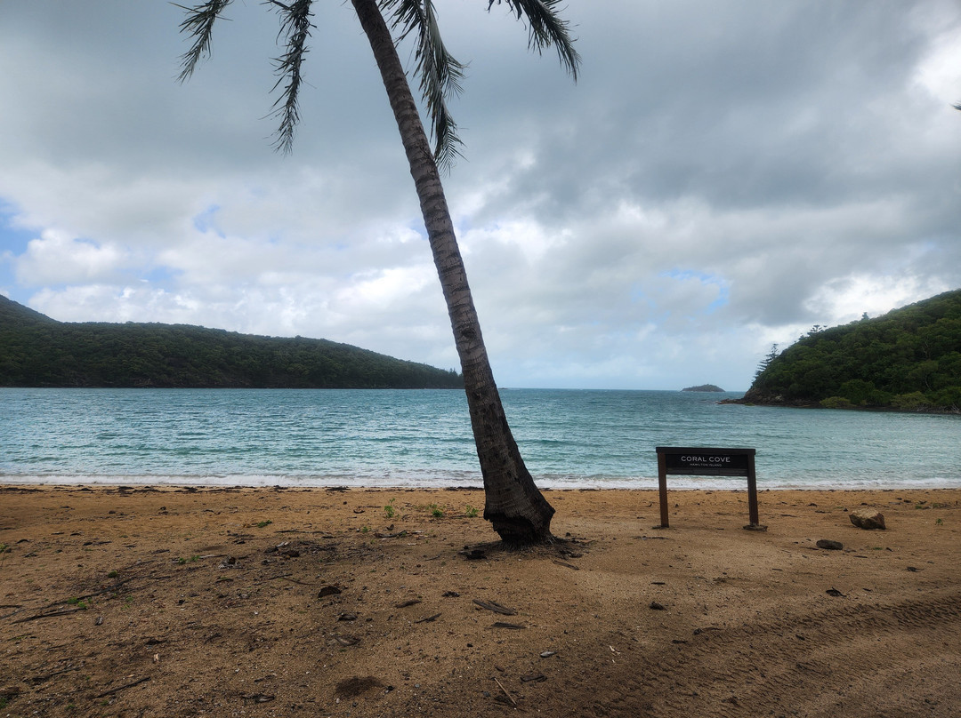 Hamilton Island Offroad Adventures-汉密尔顿岛必去景点