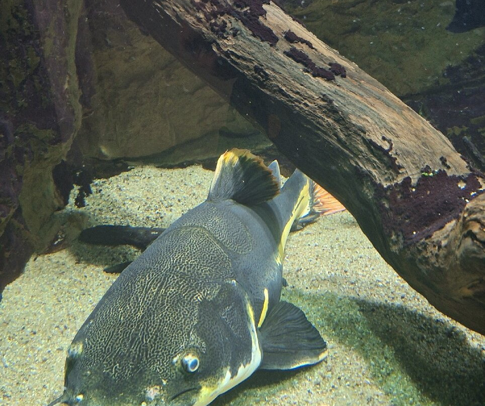 Aquarium Des Tropiques-Allex必去景点