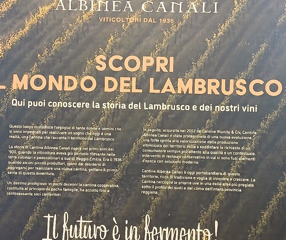 Cantina Albinea Canali-Canali必去景点