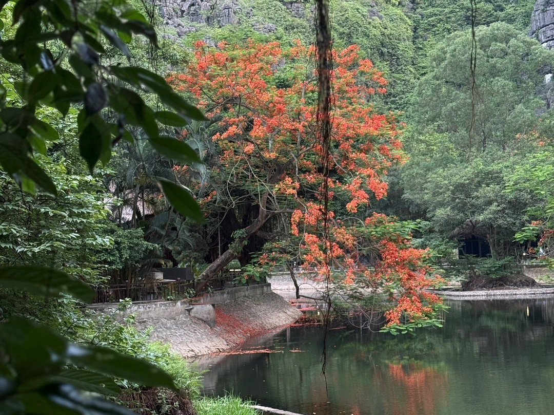 Ninh Binh Getaway-宁平必去景点