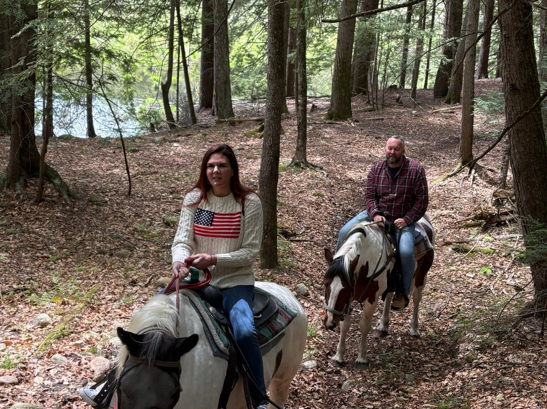Ruggiero's Public Horseback Riding And Cabin Rentals-Lake Luzerne必去景点
