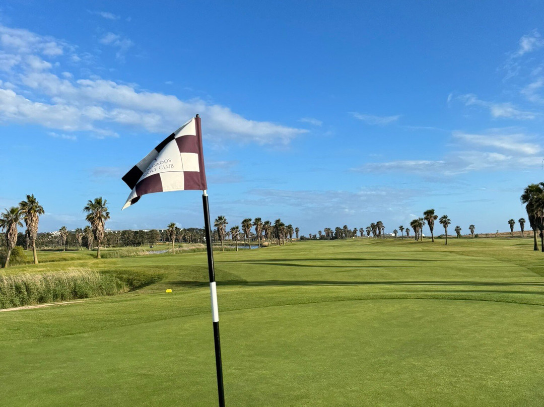 Salgados Golf Club-阿尔布赞拉必去景点