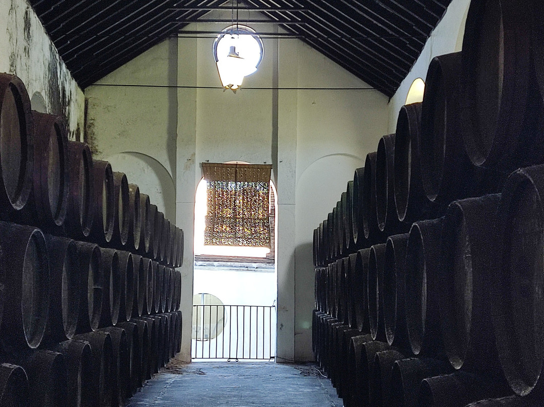 Bodegas Barbadillo-Sanlucar de Barrameda必去景点