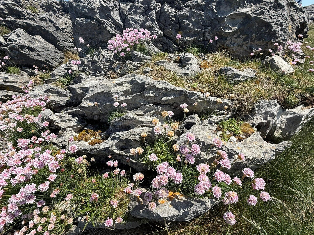 Burren way-Liscannor必去景点