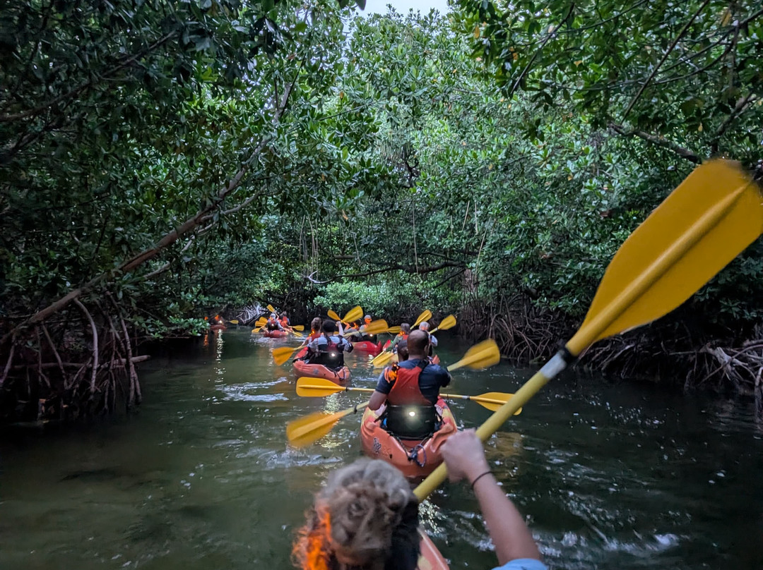 Puerto Rico Bio Bay Tours LLC-法哈多必去景点
