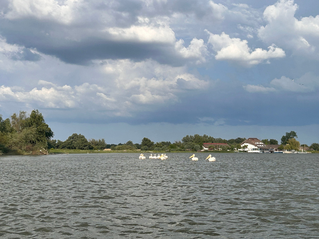 Danube Delta Kayaking tours & Camping (Mila 23)-Mila 23必去景点