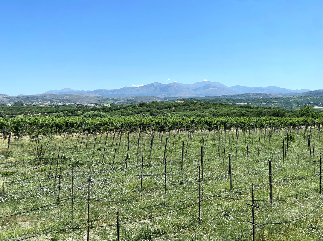 Winery Stilianou-Archanes必去景点