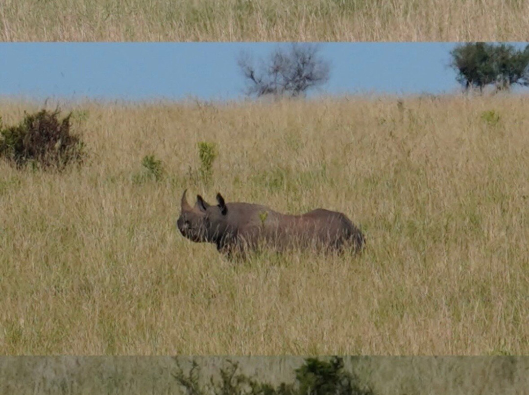 Explorer Kenya-内罗毕必去景点