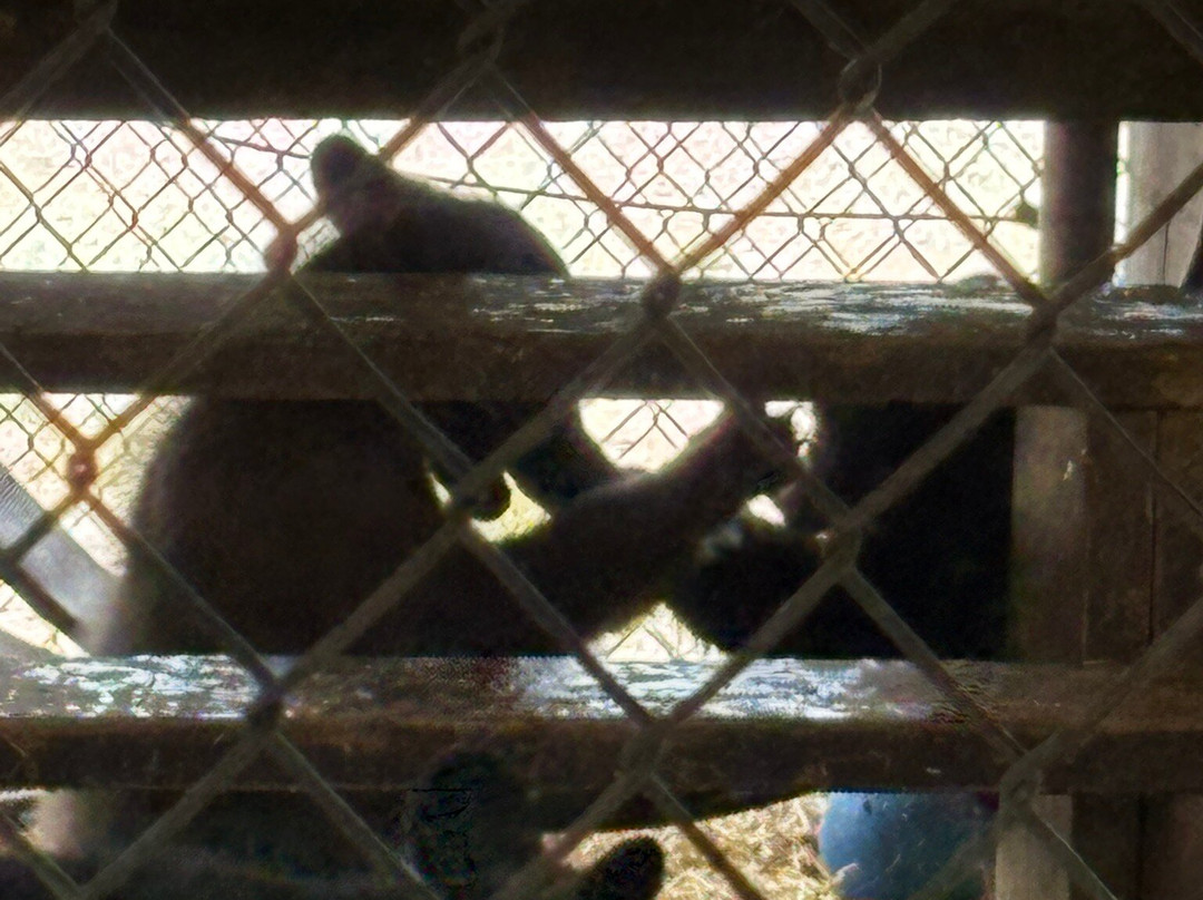 Oswald's Bear Ranch-Newberry必去景点