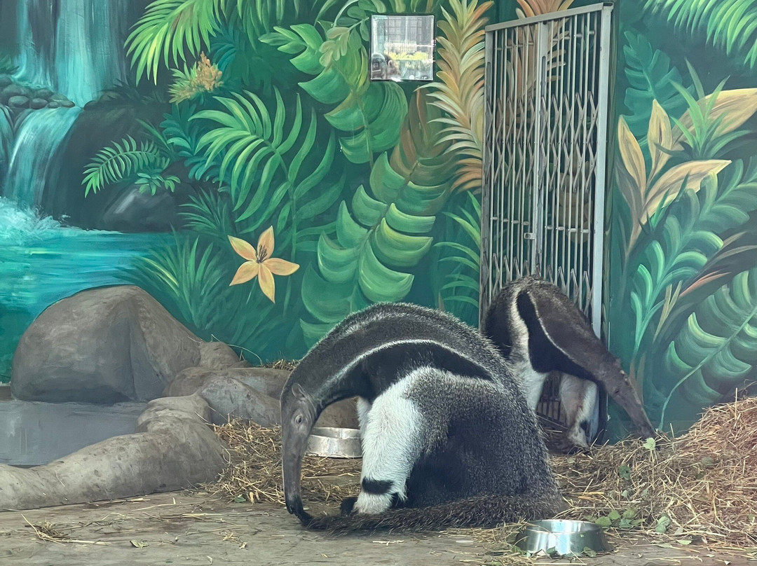 Perm Zoo-彼尔姆必去景点