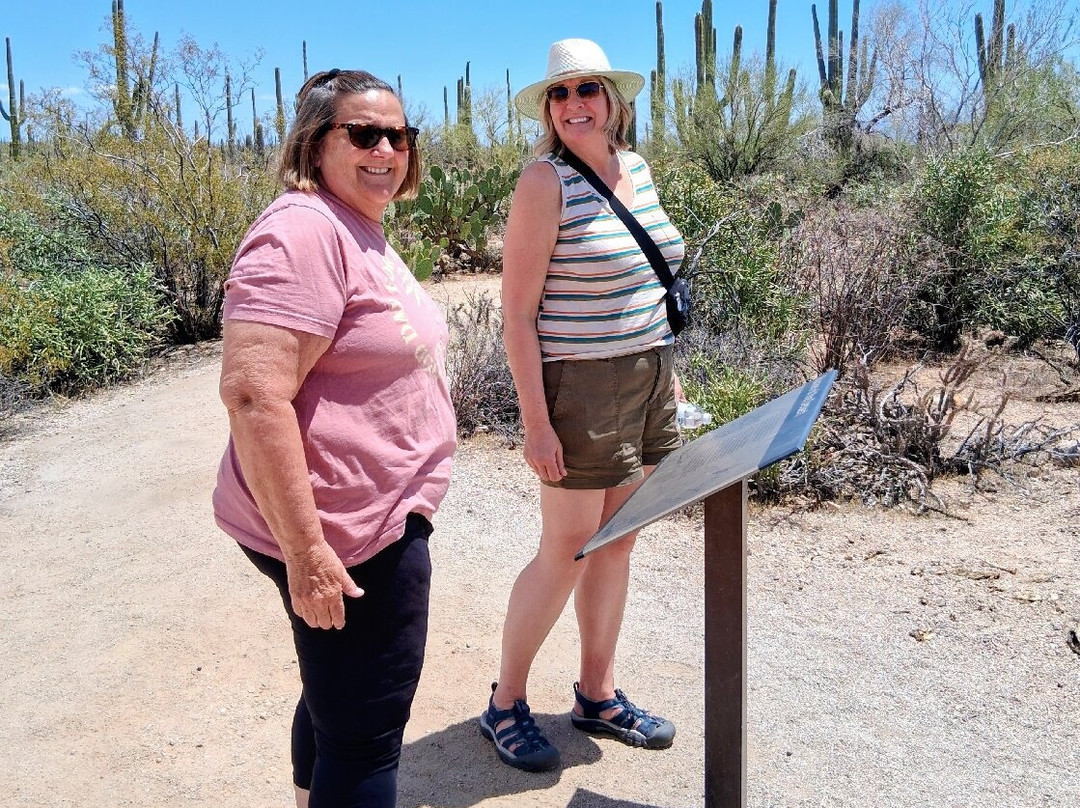 Saguaro National Park-图森必去景点
