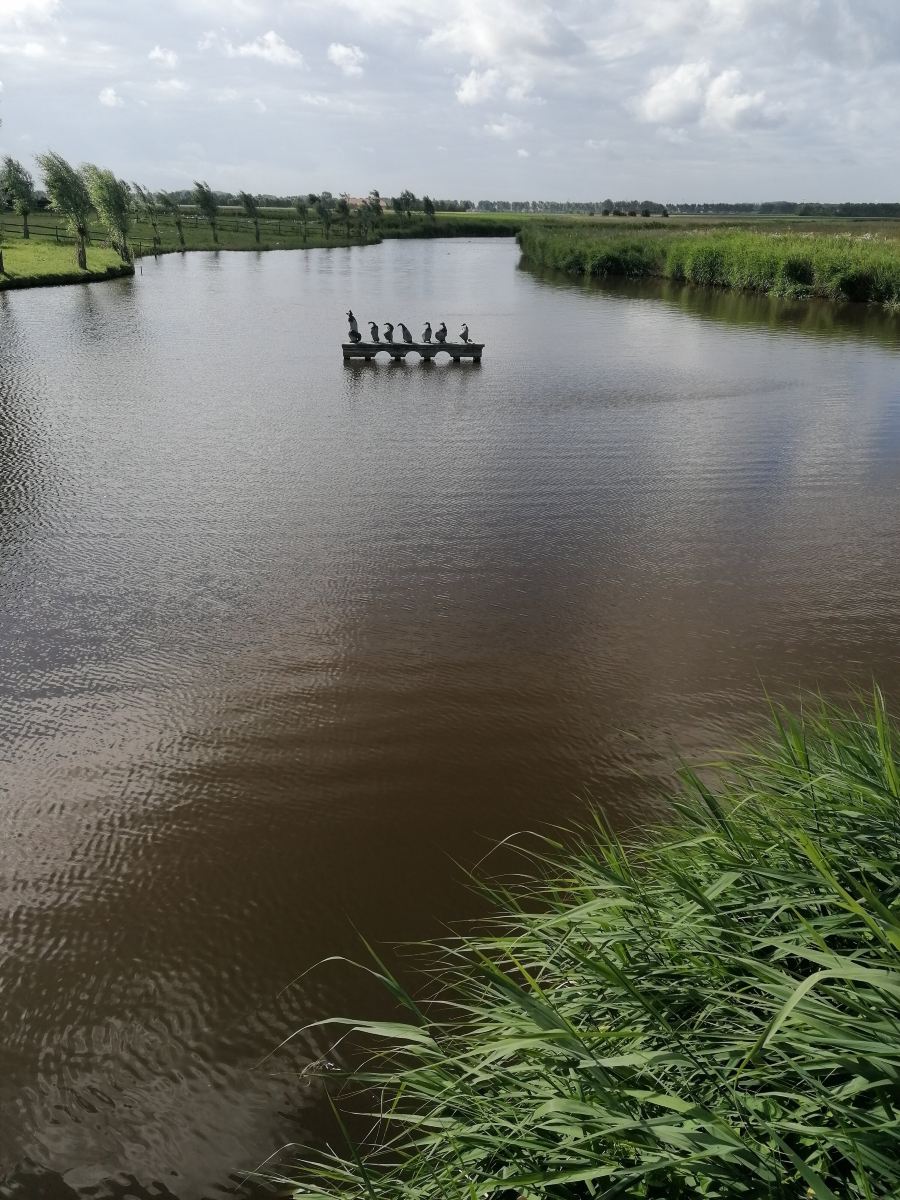 B&B De Hemelse Polder-旅行者