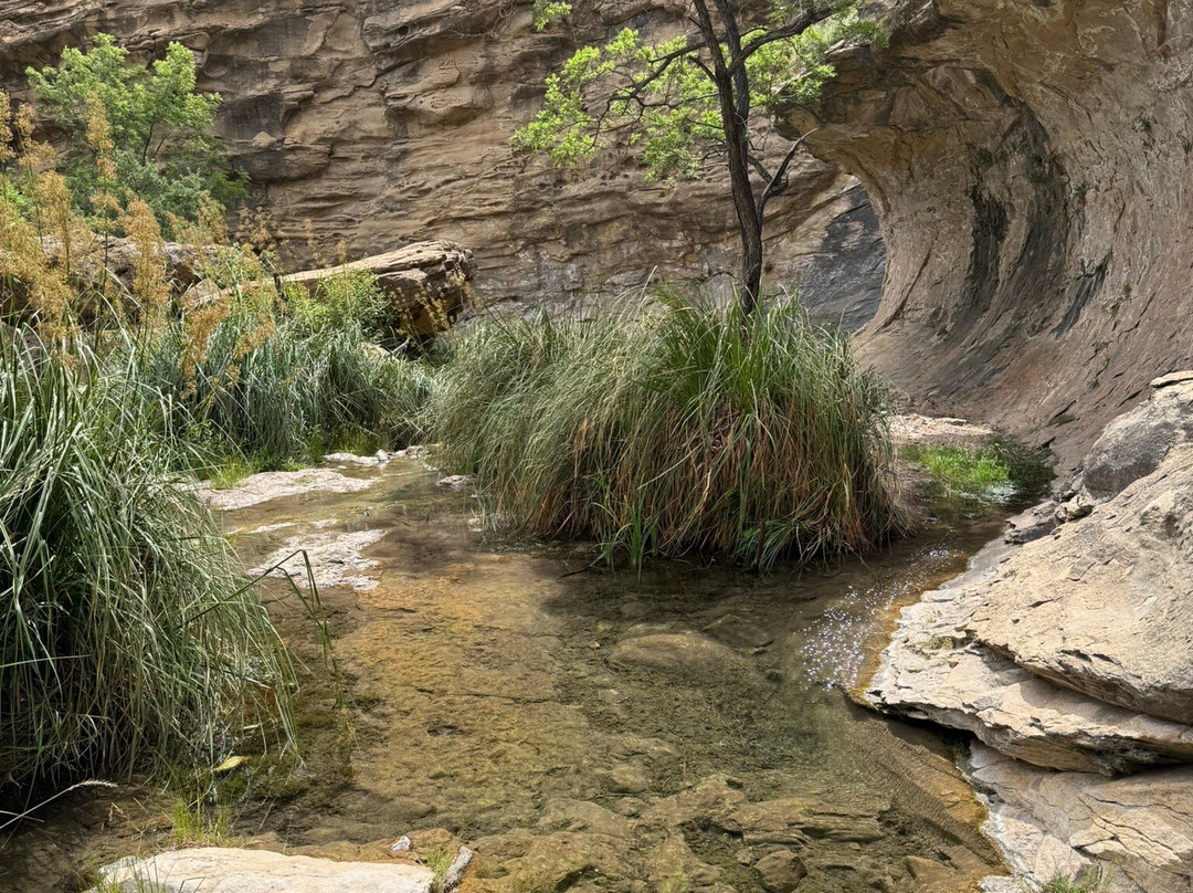Sitting Bull Falls-卡尔斯巴德必去景点