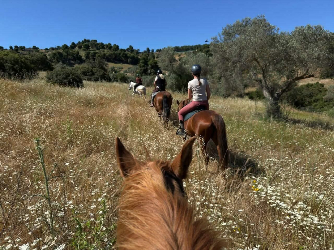 Wild Thyme Ranch-Kranidi必去景点